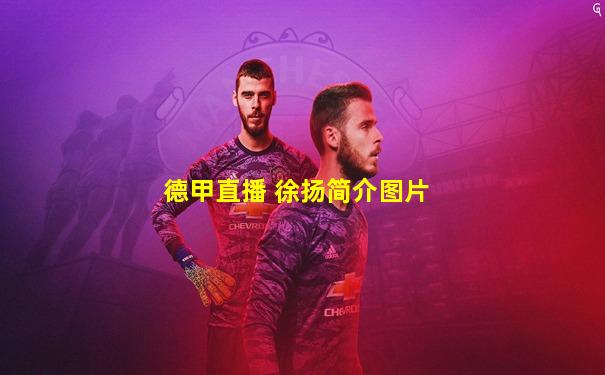 德甲直播 徐扬简介图片